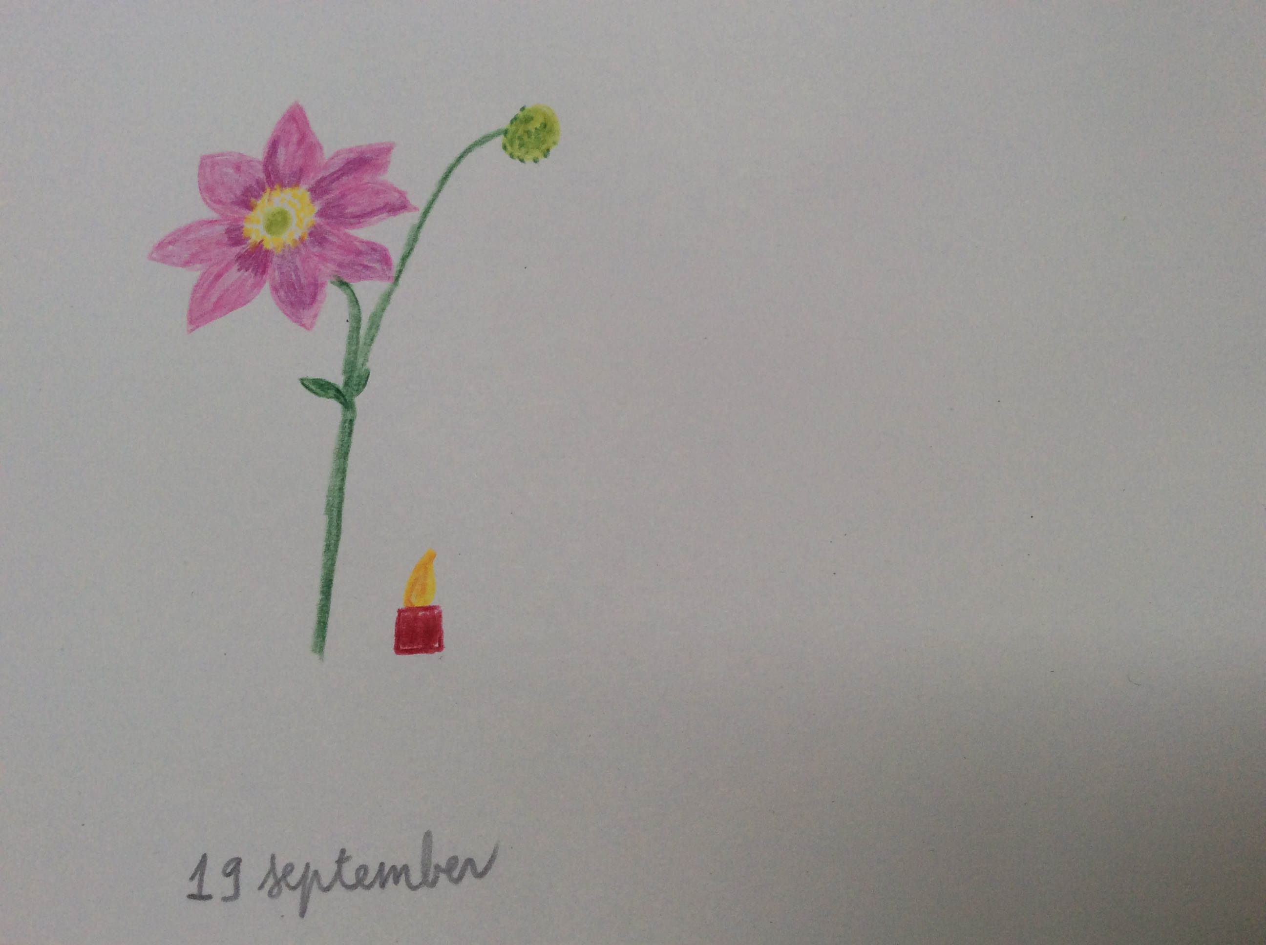 bloem